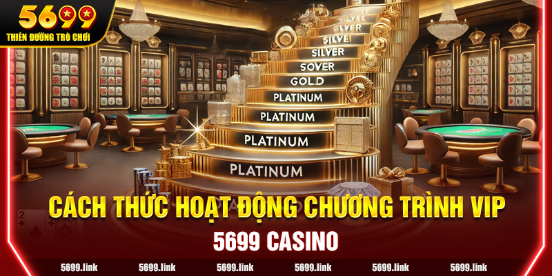 Cách thức Hoạt động của Chương trình VIP