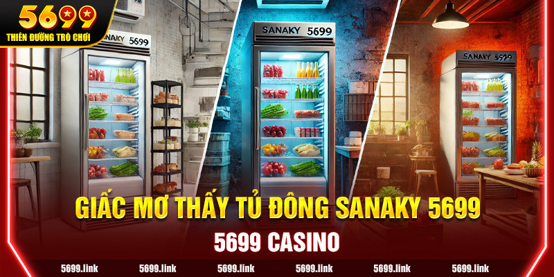 Giấc Mơ Thấy Tủ Đông Sanaky 5699: Những Kịch Bản Thường Gặp