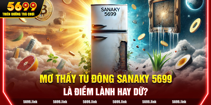 Mơ Thấy Tủ Đông Sanaky 5699: Là Điềm Lành Hay Dữ?