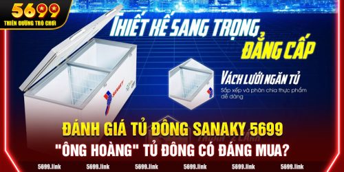 Đánh giá tủ đông Sanaky 5699: "Ông hoàng" tủ đông có đáng mua?